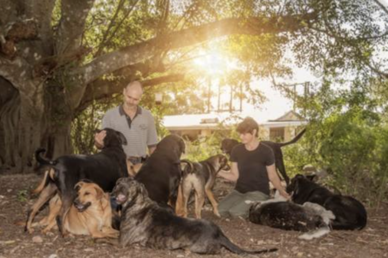 Family with group of dogs